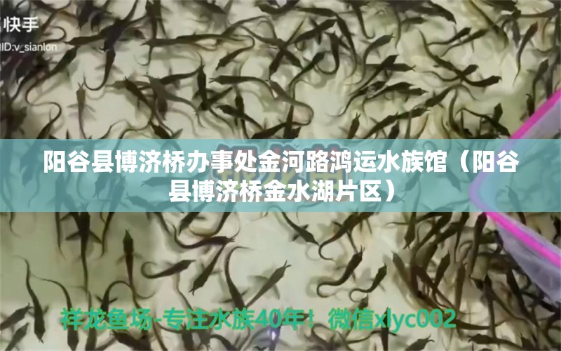 阳谷县博济桥办事处金河路鸿运水族馆（阳谷县博济桥金水湖片区）