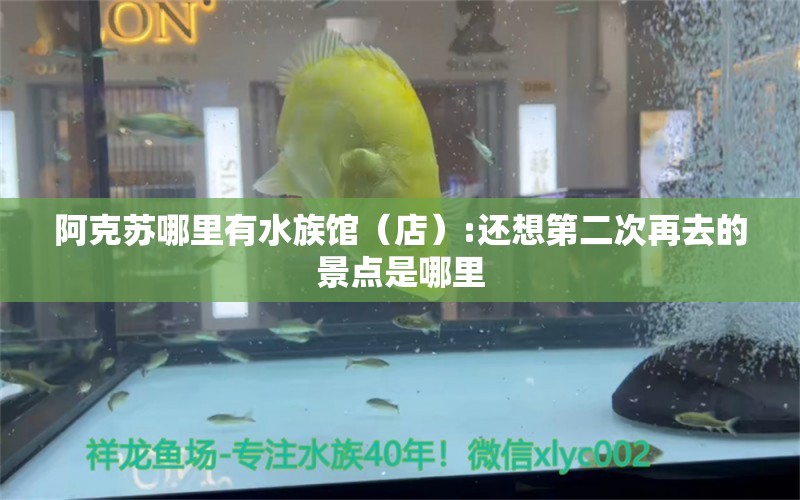 阿克苏哪里有水族馆（店）:还想第二次再去的景点是哪里 观赏鱼水族批发市场