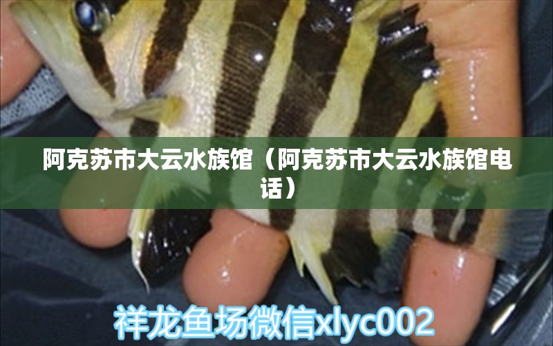 阿克苏市大云水族馆（阿克苏市大云水族馆电话） 全国水族馆企业名录