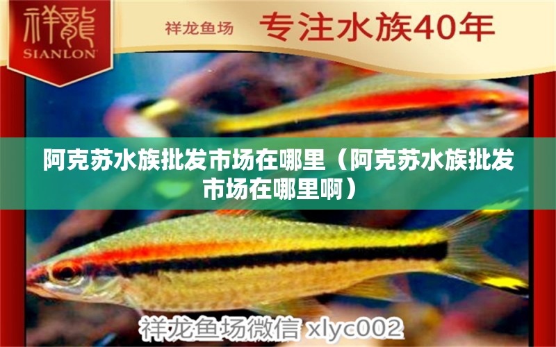 阿克苏水族批发市场在哪里（阿克苏水族批发市场在哪里啊） 观赏鱼水族批发市场