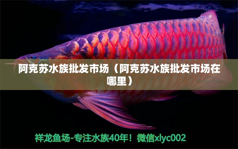 阿克苏水族批发市场（阿克苏水族批发市场在哪里）