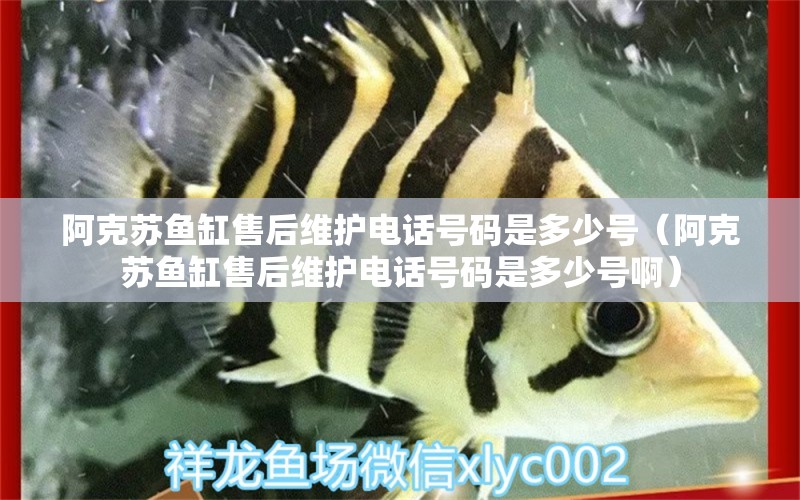 阿克苏鱼缸售后维护电话号码是多少号（阿克苏鱼缸售后维护电话号码是多少号啊） 其他品牌鱼缸