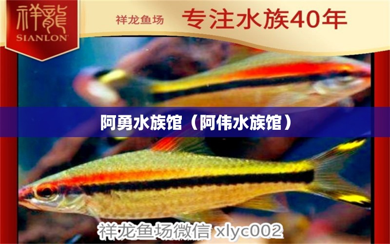 阿勇水族馆（阿伟水族馆）