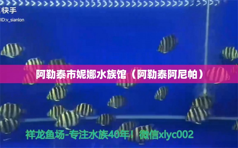 阿勒泰市妮娜水族馆（阿勒泰阿尼帕） 全国水族馆企业名录