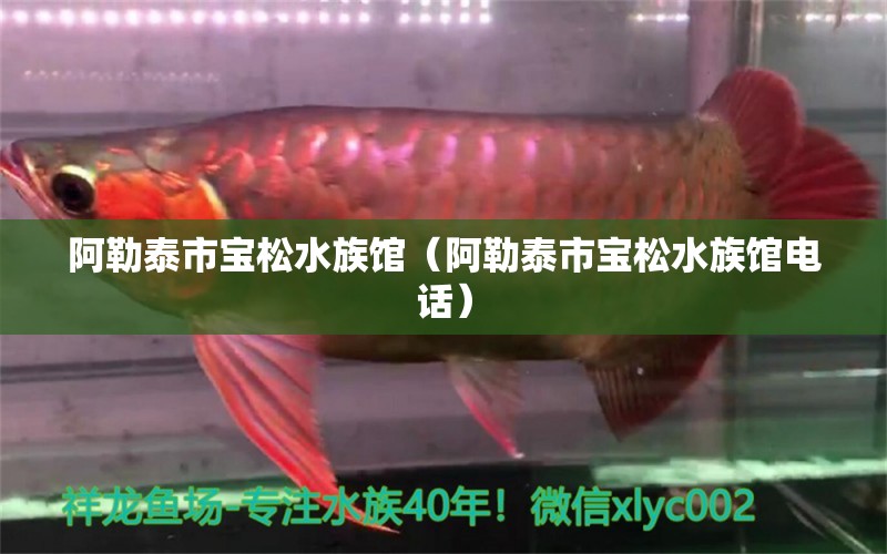 阿勒泰市宝松水族馆（阿勒泰市宝松水族馆电话） 全国水族馆企业名录