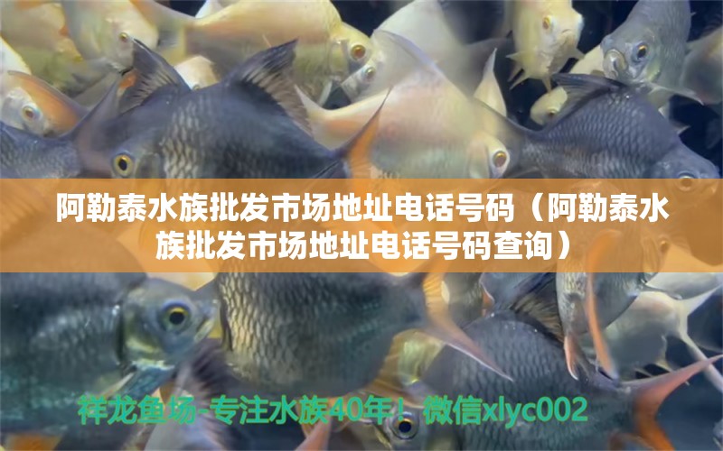 阿勒泰水族批发市场地址电话号码（阿勒泰水族批发市场地址电话号码查询）