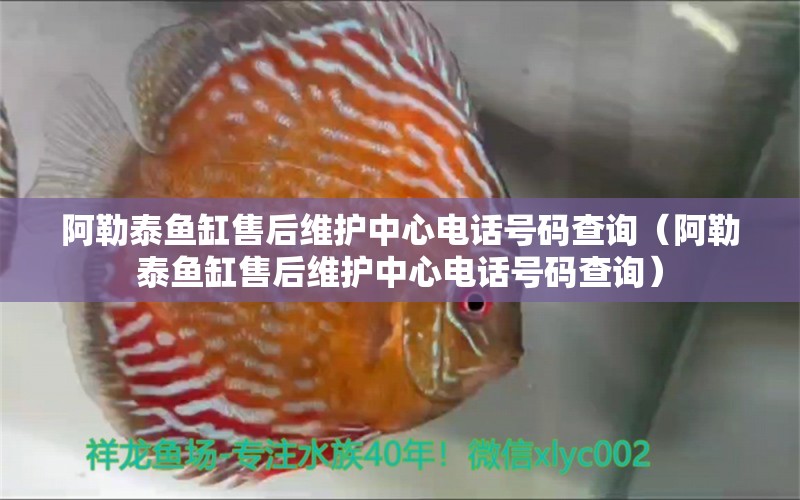 阿勒泰鱼缸售后维护中心电话号码查询（阿勒泰鱼缸售后维护中心电话号码查询） 其他品牌鱼缸