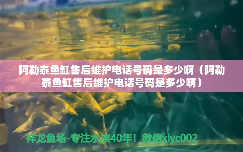 阿勒泰鱼缸售后维护电话号码是多少啊（阿勒泰鱼缸售后维护电话号码是多少啊） 其他品牌鱼缸