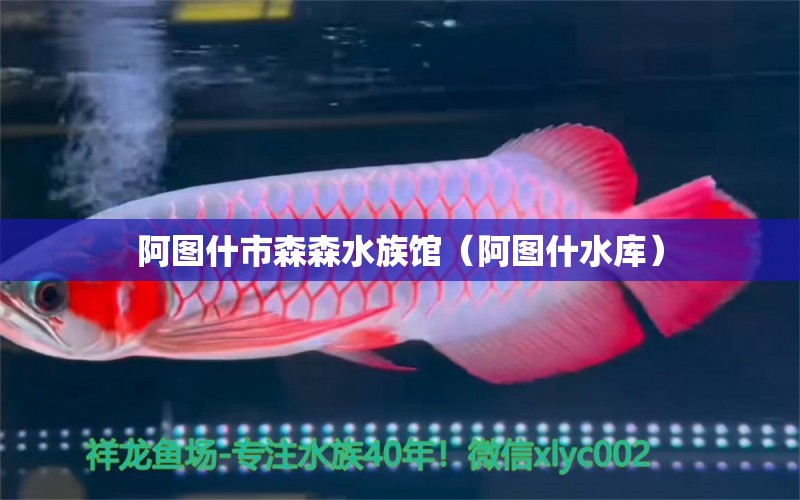 阿图什市森森水族馆（阿图什水库） 全国水族馆企业名录