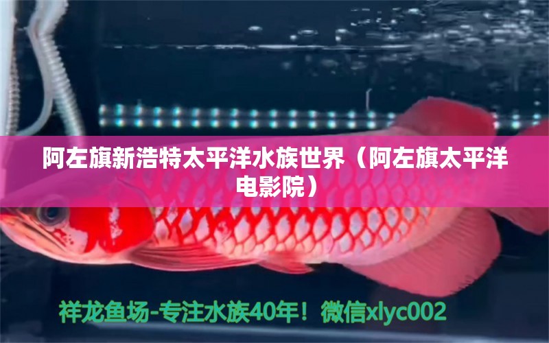 阿左旗新浩特太平洋水族世界（阿左旗太平洋电影院） 全国水族馆企业名录