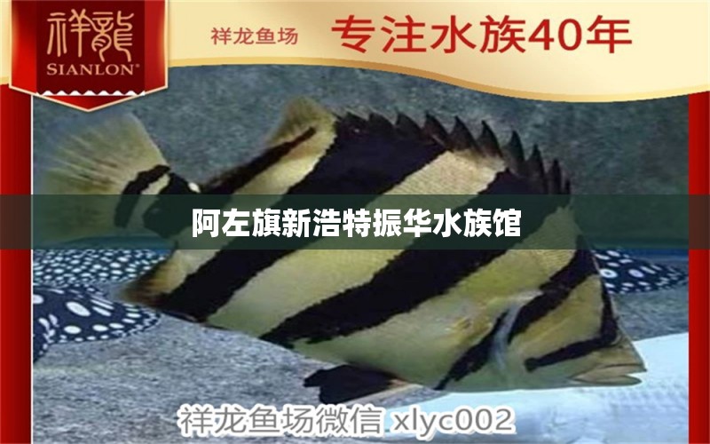 阿左旗新浩特振华水族馆 全国水族馆企业名录