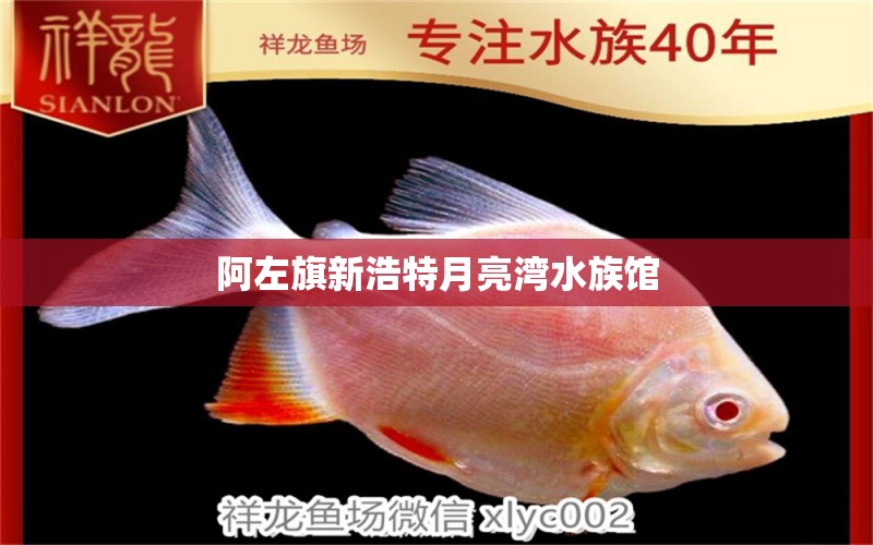 阿左旗新浩特月亮湾水族馆 全国水族馆企业名录