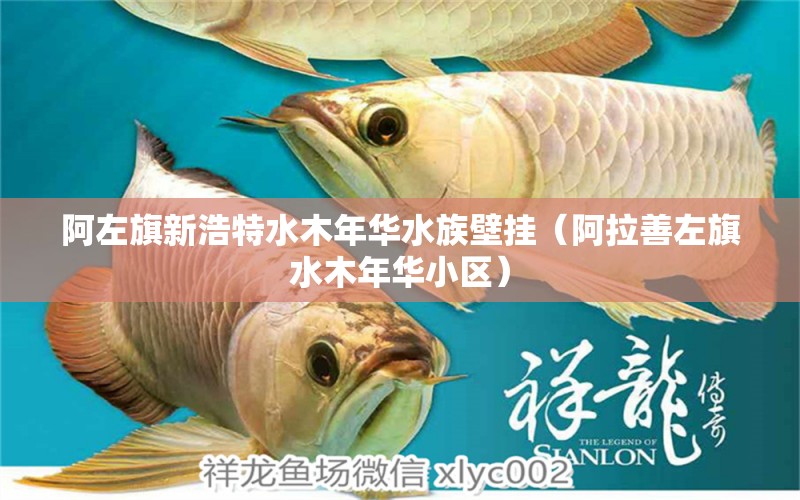 阿左旗新浩特水木年华水族壁挂（阿拉善左旗水木年华小区） 全国水族馆企业名录