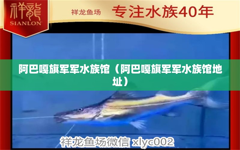 阿巴嘎旗军军水族馆（阿巴嘎旗军军水族馆地址）