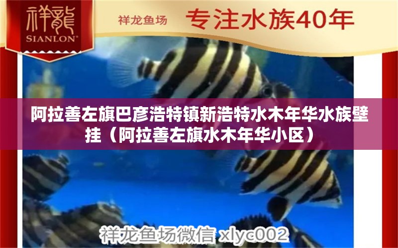 阿拉善左旗巴彦浩特镇新浩特水木年华水族壁挂（阿拉善左旗水木年华小区） 全国水族馆企业名录