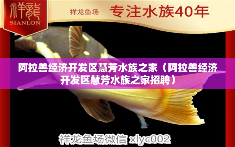 阿拉善经济开发区慧芳水族之家（阿拉善经济开发区慧芳水族之家招聘）