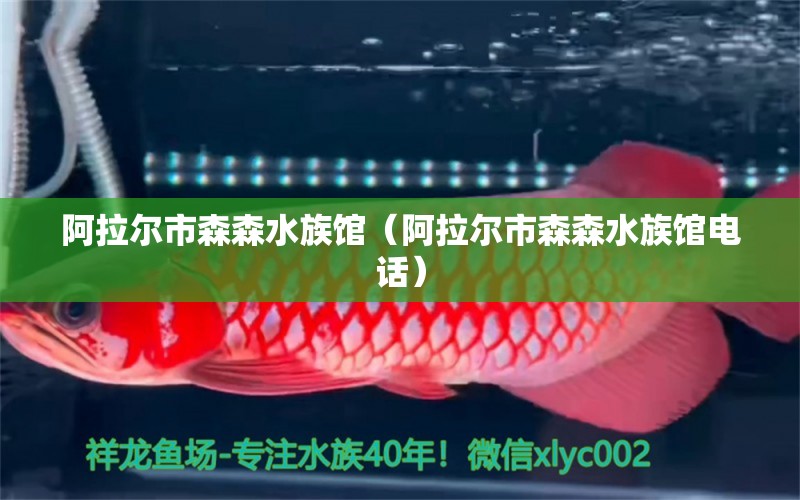 阿拉尔市森森水族馆（阿拉尔市森森水族馆电话） 全国水族馆企业名录