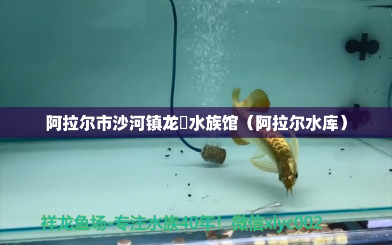 阿拉尔市沙河镇龙龘水族馆（阿拉尔水库） 全国水族馆企业名录