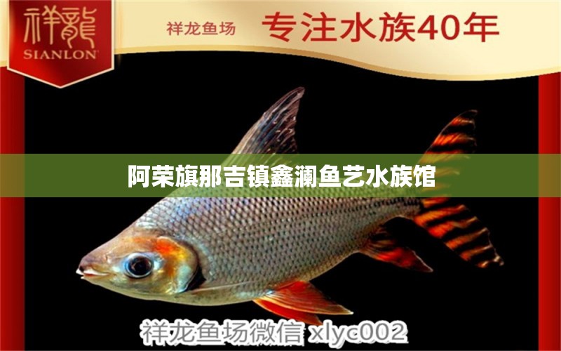 阿荣旗那吉镇鑫澜鱼艺水族馆