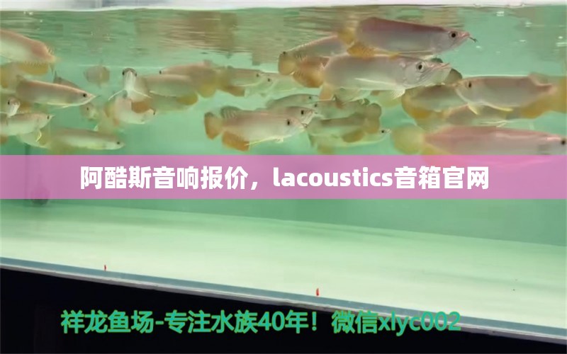 阿酷斯音响报价，lacoustics音箱官网