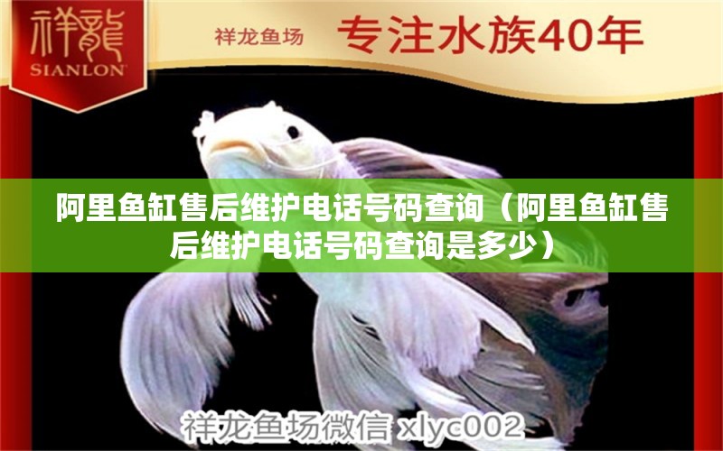 阿里鱼缸售后维护电话号码查询（阿里鱼缸售后维护电话号码查询是多少）