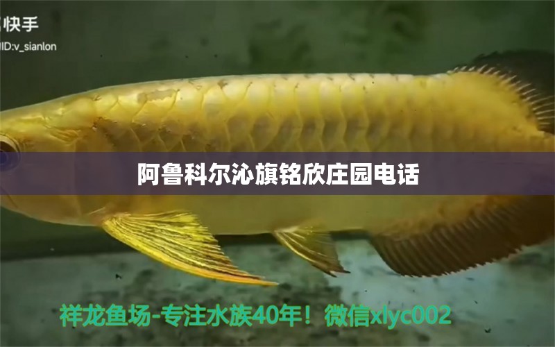 阿鲁科尔沁旗铭欣庄园电话 全国水族馆企业名录 第1张