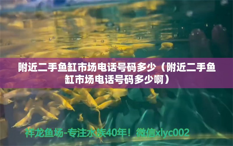 附近二手鱼缸市场电话号码多少（附近二手鱼缸市场电话号码多少啊） 观赏鱼市场（混养鱼）