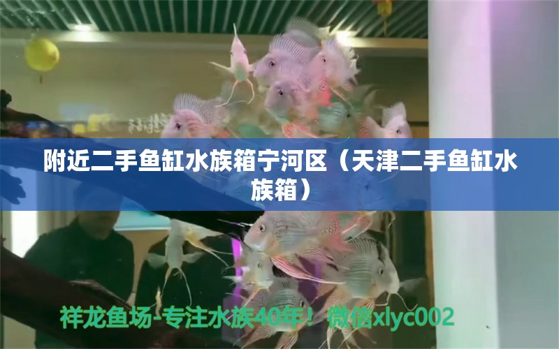 附近二手鱼缸水族箱宁河区（天津二手鱼缸水族箱） 鱼缸/水族箱