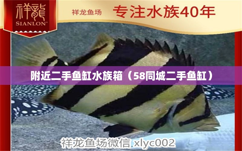 附近二手鱼缸水族箱（58同城二手鱼缸） 鱼缸/水族箱