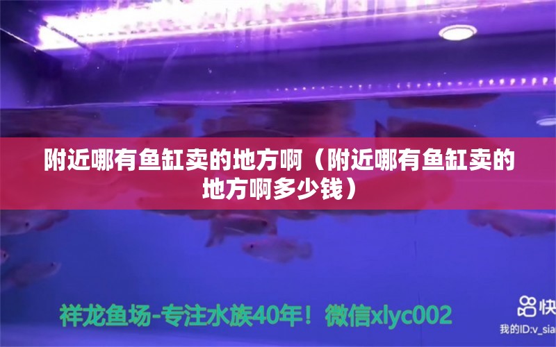 附近哪有鱼缸卖的地方啊（附近哪有鱼缸卖的地方啊多少钱） 祥龙水族医院