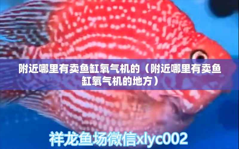 附近哪里有卖鱼缸氧气机的（附近哪里有卖鱼缸氧气机的地方）