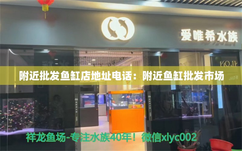 附近批发鱼缸店地址电话：附近鱼缸批发市场