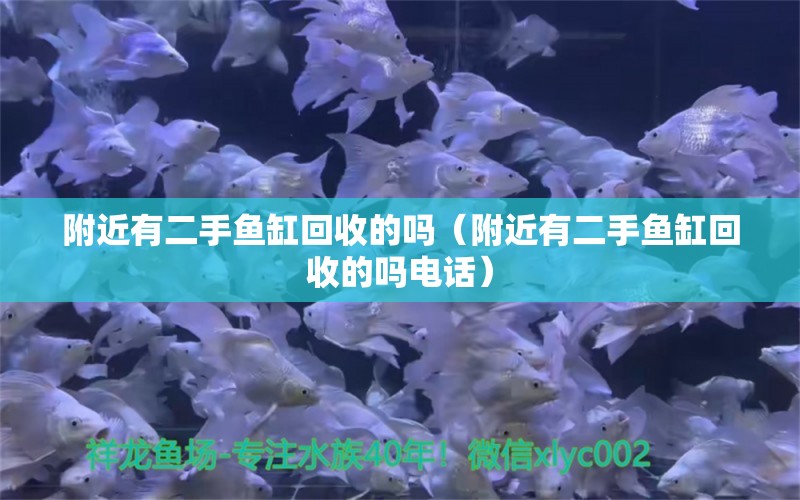 附近有二手鱼缸回收的吗（附近有二手鱼缸回收的吗电话） 观赏鱼市场（混养鱼）