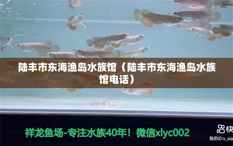 陆丰市东海渔岛水族馆（陆丰市东海渔岛水族馆电话） 全国水族馆企业名录