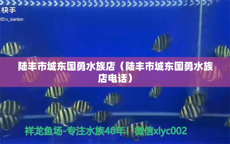 陆丰市城东国勇水族店（陆丰市城东国勇水族店电话） 全国水族馆企业名录