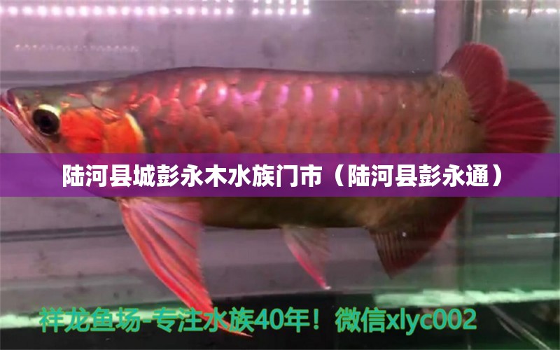 陆河县城彭永木水族门市（陆河县彭永通） 全国水族馆企业名录