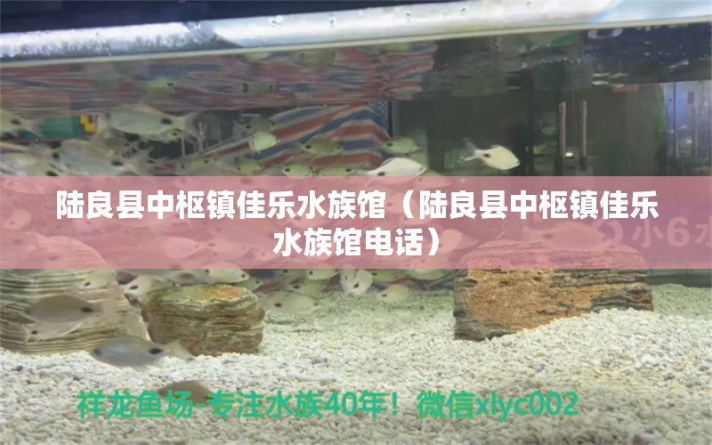 陆良县中枢镇佳乐水族馆（陆良县中枢镇佳乐水族馆电话） 全国水族馆企业名录