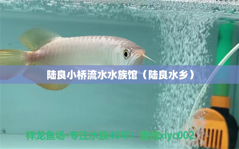 陆良小桥流水水族馆（陆良水乡） 全国水族馆企业名录