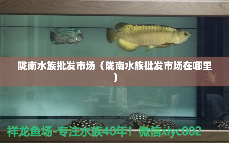 陇南水族批发市场（陇南水族批发市场在哪里）