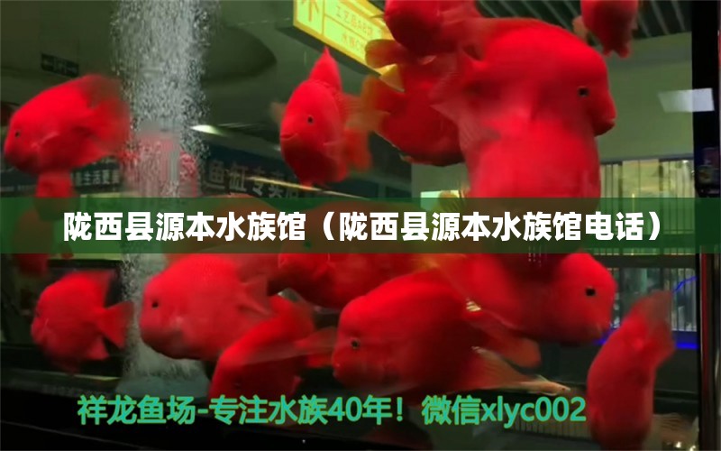 陇西县源本水族馆（陇西县源本水族馆电话）