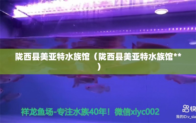 陇西县美亚特水族馆（陇西县美亚特水族馆**） 全国水族馆企业名录