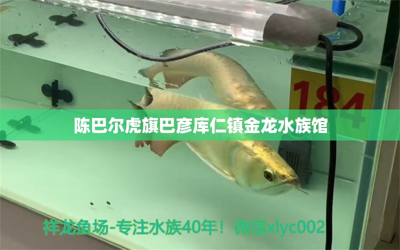 陈巴尔虎旗巴彦库仁镇金龙水族馆