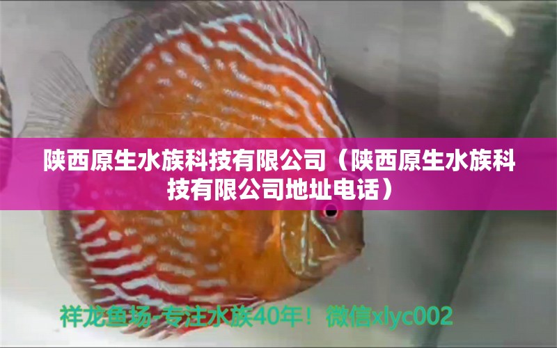 陕西原生水族科技有限公司（陕西原生水族科技有限公司地址电话）