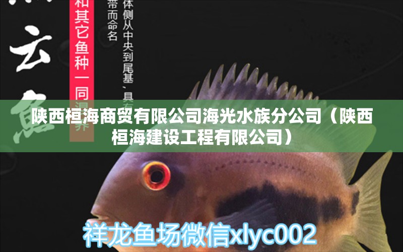 陕西桓海商贸有限公司海光水族分公司（陕西桓海建设工程有限公司） 全国水族馆企业名录