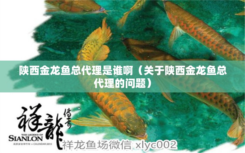 陕西金龙鱼总代理是谁啊（关于陕西金龙鱼总代理的问题） 水族问答 第2张