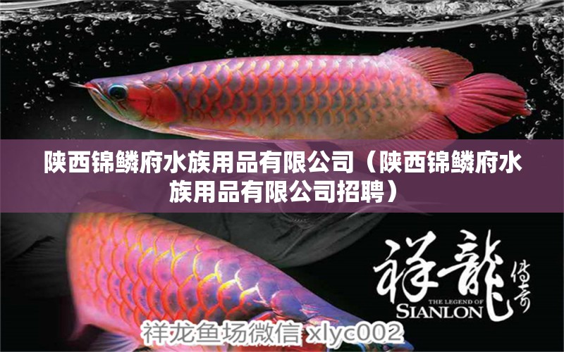 陕西锦鳞府水族用品有限公司（陕西锦鳞府水族用品有限公司招聘）