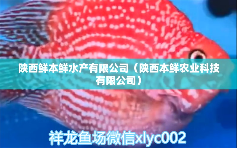 陕西鲜本鲜水产有限公司（陕西本鲜农业科技有限公司） 全国水族馆企业名录