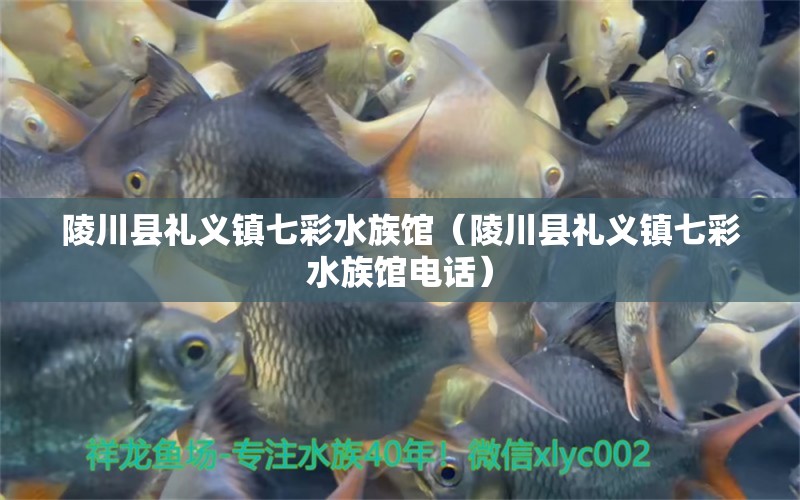 陵川县礼义镇七彩水族馆（陵川县礼义镇七彩水族馆电话） 全国水族馆企业名录