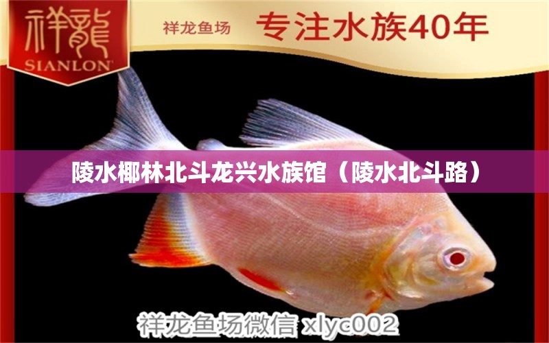 陵水椰林北斗龙兴水族馆（陵水北斗路）