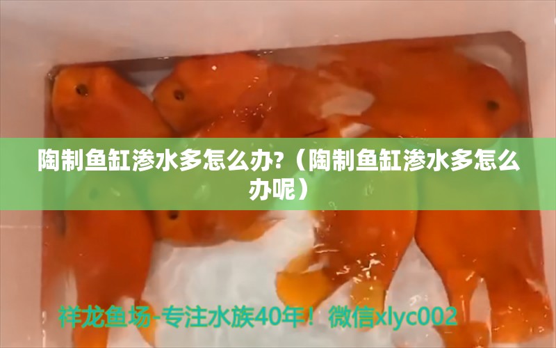 陶制鱼缸渗水多怎么办?（陶制鱼缸渗水多怎么办呢）